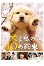 Nonton Film 10 Promises to My Dog (2008) Subtitle Indonesia Streaming Movie Download