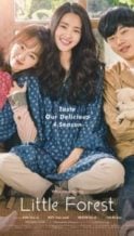 Nonton Film Little Forest (2018) Subtitle Indonesia Streaming Movie Download