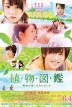 Nonton Film Evergreen Love (2016) Subtitle Indonesia Streaming Movie Download