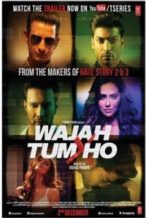 Nonton Film Wajah Tum Ho (2016) Subtitle Indonesia Streaming Movie Download