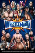 WWE Wrestlemania 33 (2017)