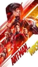 Nonton Film Ant-Man and the Wasp (2018) Subtitle Indonesia Streaming Movie Download