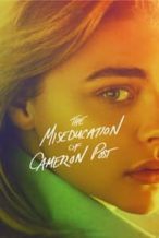 Nonton Film The Miseducation of Cameron Post (2018) Subtitle Indonesia Streaming Movie Download