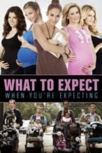 Nonton Film What to Expect When You’re Expecting (2012) Subtitle Indonesia Streaming Movie Download