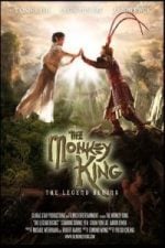 The Monkey King: The Legend Begins (2016)