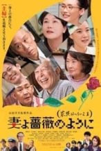 Nonton Film What a Wonderful Family! 3: My Wife, My Life (2018) Subtitle Indonesia Streaming Movie Download