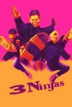 Nonton Film 3 Ninjas (1992) Subtitle Indonesia Streaming Movie Download