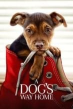 Nonton Film A Dog’s Way Home (2019) Subtitle Indonesia Streaming Movie Download