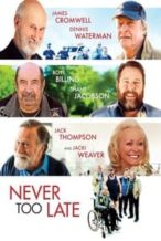 Nonton Film Never Too Late (2020) Subtitle Indonesia Streaming Movie Download