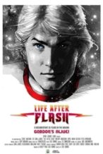 Nonton Film Life After Flash (2017) Subtitle Indonesia Streaming Movie Download