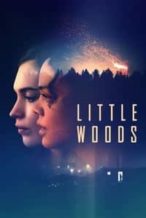 Nonton Film Little Woods (2019) Subtitle Indonesia Streaming Movie Download