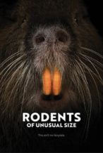 Nonton Film Rodents of Unusual Size (2017) Subtitle Indonesia Streaming Movie Download