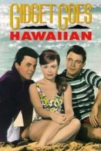 Nonton Film Gidget Goes Hawaiian (1961) Subtitle Indonesia Streaming Movie Download