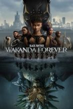 Nonton Film Black Panther: Wakanda Forever (2022) Subtitle Indonesia Streaming Movie Download