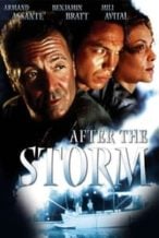 Nonton Film After the Storm (2001) Subtitle Indonesia Streaming Movie Download