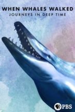 Nonton Film When Whales Walked: Journeys in Deep Time (2019) Subtitle Indonesia Streaming Movie Download