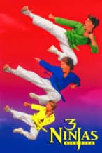 Nonton Film 3 Ninjas Kick Back (1994) Subtitle Indonesia Streaming Movie Download