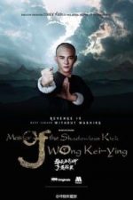 Master Of The Shadowless Kick Wong Kei-Ying (2016)