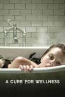 Layarkaca21 LK21 Dunia21 Nonton Film A Cure for Wellness (2017) Subtitle Indonesia Streaming Movie Download