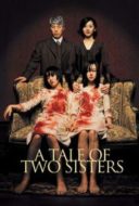Layarkaca21 LK21 Dunia21 Nonton Film A Tale of Two Sisters (2003) Subtitle Indonesia Streaming Movie Download