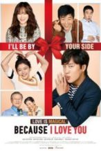 Nonton Film Because I Love You (2016) Subtitle Indonesia Streaming Movie Download