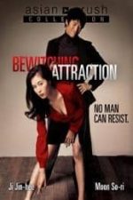 Bewitching Attraction (2006)