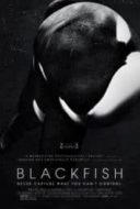 Layarkaca21 LK21 Dunia21 Nonton Film Blackfish (2013) Subtitle Indonesia Streaming Movie Download