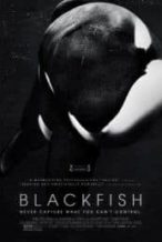 Nonton Film Blackfish (2013) Subtitle Indonesia Streaming Movie Download