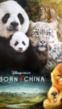 Nonton Film Born in China (2017) Subtitle Indonesia Streaming Movie Download