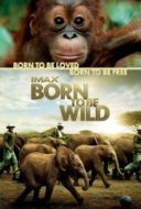 Layarkaca21 LK21 Dunia21 Nonton Film Born to Be Wild (2011) Subtitle Indonesia Streaming Movie Download