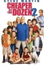 Nonton Film Cheaper by the Dozen 2 (2005) Subtitle Indonesia Streaming Movie Download
