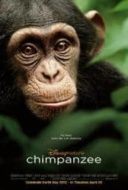 Layarkaca21 LK21 Dunia21 Nonton Film Chimpanzee (2012) Subtitle Indonesia Streaming Movie Download