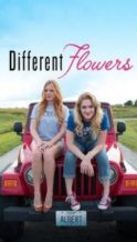 Nonton Film Different Flowers (2017) Subtitle Indonesia Streaming Movie Download
