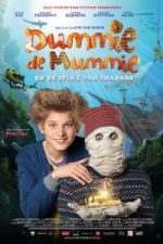 Dummie the Mummy and the Sphinx of Shakaba (2015)