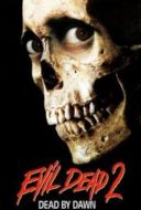 Layarkaca21 LK21 Dunia21 Nonton Film Evil Dead II (1987) Subtitle Indonesia Streaming Movie Download
