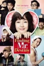 Finding Mr Destiny (2010)