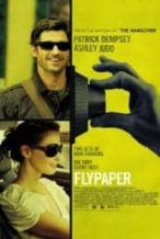 Nonton Film Flypaper (2011) Subtitle Indonesia Streaming Movie Download