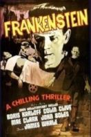Layarkaca21 LK21 Dunia21 Nonton Film Frankenstein (1931) Subtitle Indonesia Streaming Movie Download