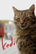 Nonton Film Kedi (2017) Subtitle Indonesia Streaming Movie Download