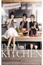 Kitchen (2009)