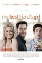 Nonton Film My Best Friend’s Girl (2008) Subtitle Indonesia Streaming Movie Download