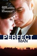 Nonton Film A Perfect Man (2013) Subtitle Indonesia Streaming Movie Download
