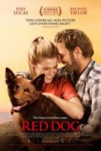 Nonton Film Red Dog (2011) Subtitle Indonesia Streaming Movie Download