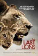 Layarkaca21 LK21 Dunia21 Nonton Film The Last Lions (2011) Subtitle Indonesia Streaming Movie Download