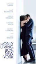 Nonton Film The Only Living Boy in New York (2017) Subtitle Indonesia Streaming Movie Download