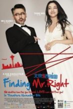 Nonton Film Finding Mr. Right (2013) Subtitle Indonesia Streaming Movie Download