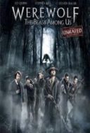 Layarkaca21 LK21 Dunia21 Nonton Film Werewolf: The Beast Among Us (2012) Subtitle Indonesia Streaming Movie Download