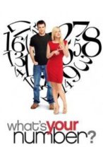 Nonton Film What’s Your Number? (2011) Subtitle Indonesia Streaming Movie Download