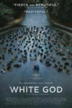 Nonton Film White God (2014) Subtitle Indonesia Streaming Movie Download