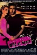Layarkaca21 LK21 Dunia21 Nonton Film Wild at Heart (1990) Subtitle Indonesia Streaming Movie Download